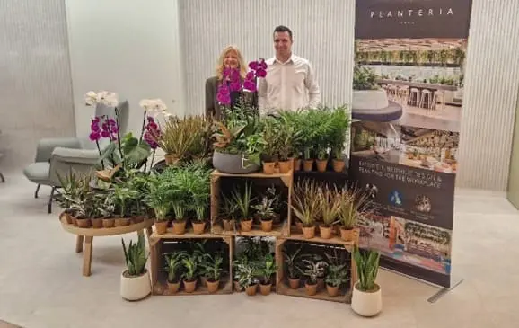 Plant giveaway 1
