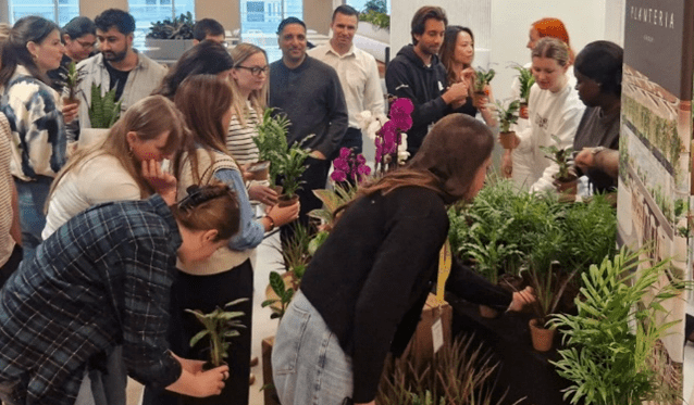 Plant giveaway 3.jpg 1