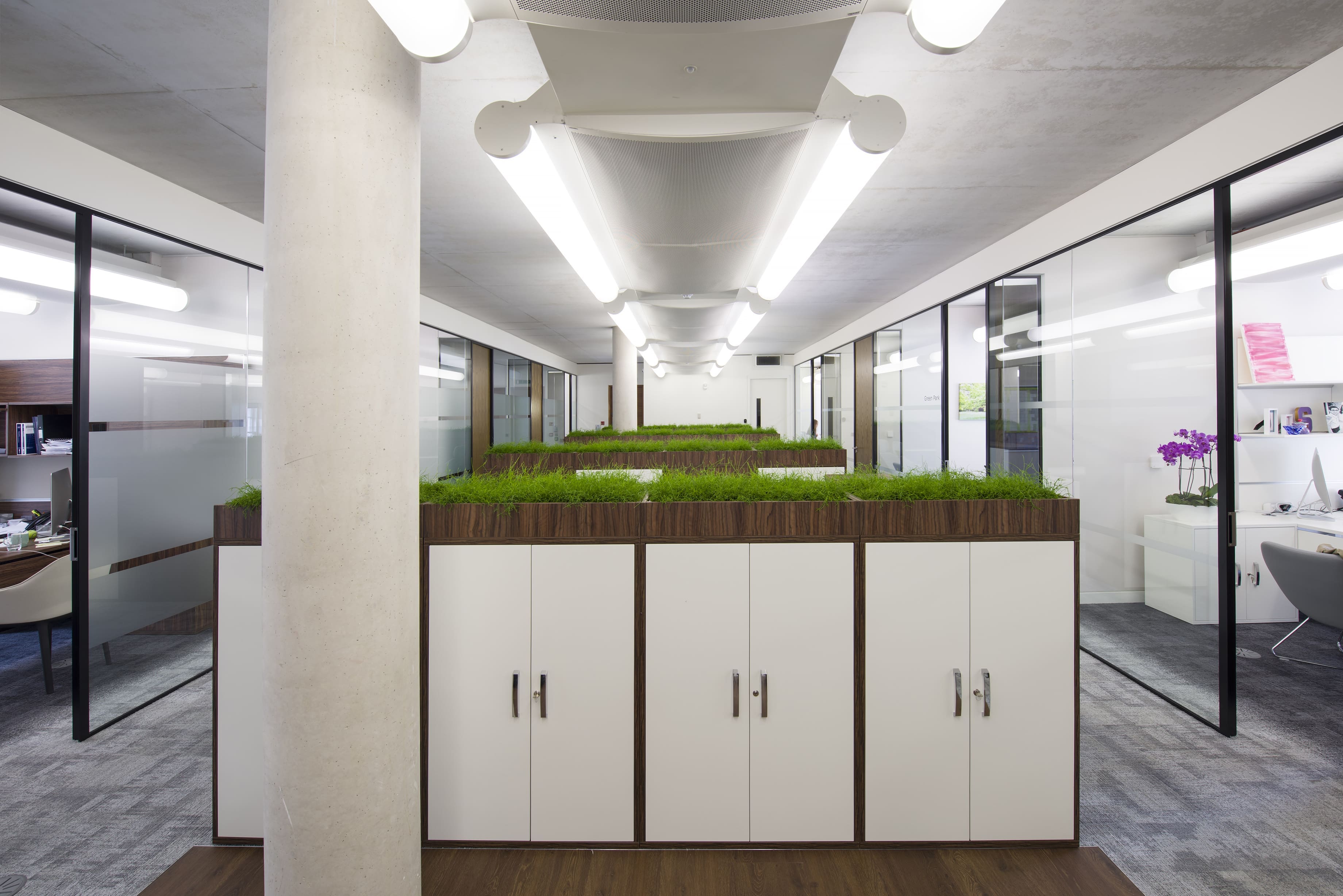 green cabinet tops for cupboards