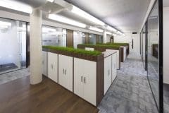 green cabinet tops for cupboards