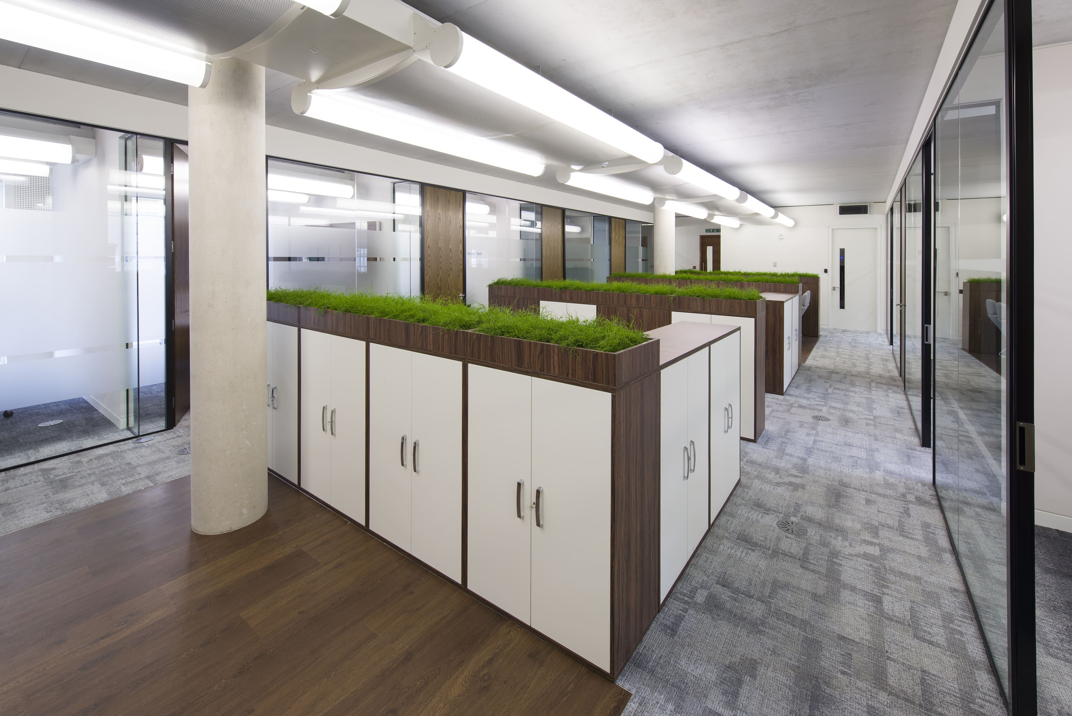 green cabinet tops for cupboards