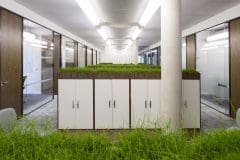 green cabinet tops for cupboards