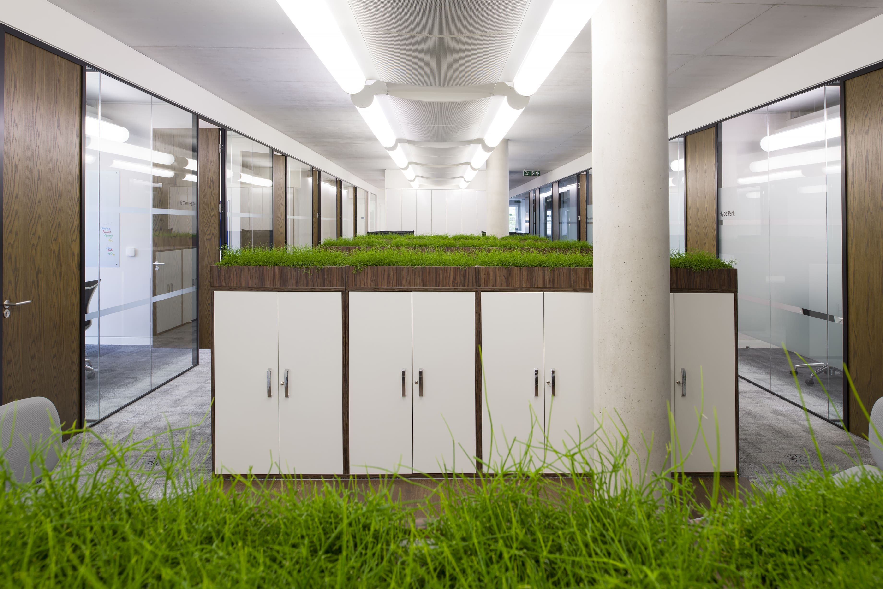 green cabinet tops for cupboards