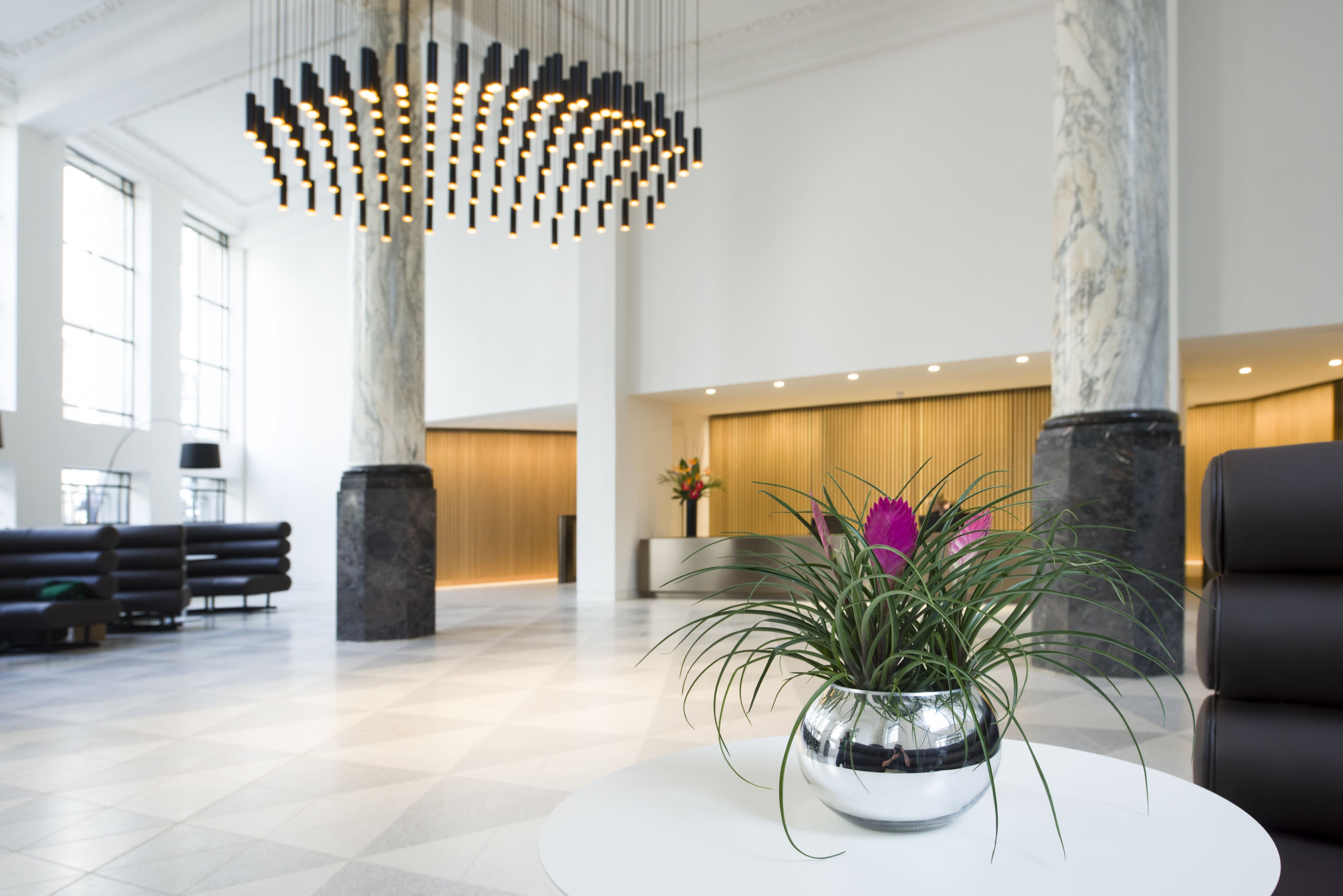 plant in round silver pot in beautiful lobby area