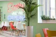 tall plant in white planted in green cafe area
