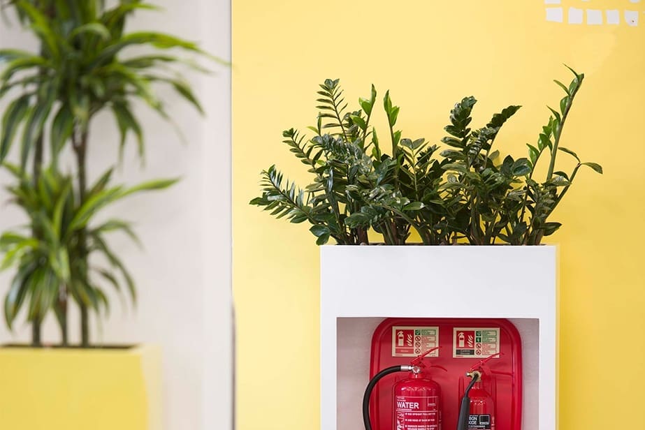 plants in planter against yellow wall