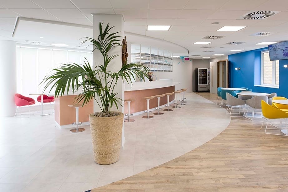 open office/study space with plants