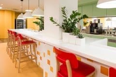 plants on white desk in shared space