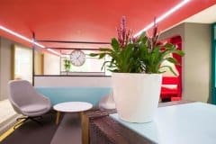 plant in white planter in communal area