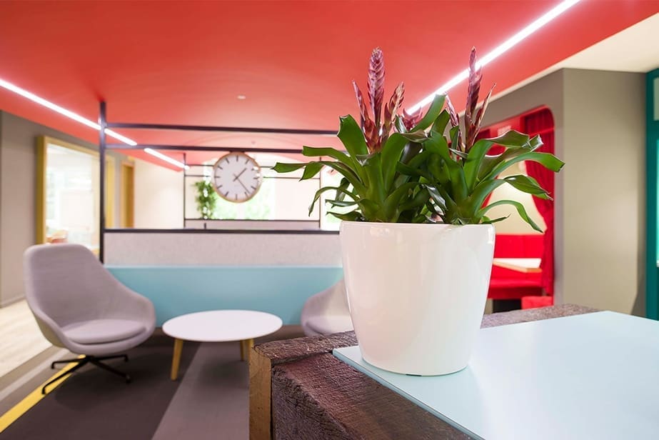 plant in white planter in communal area