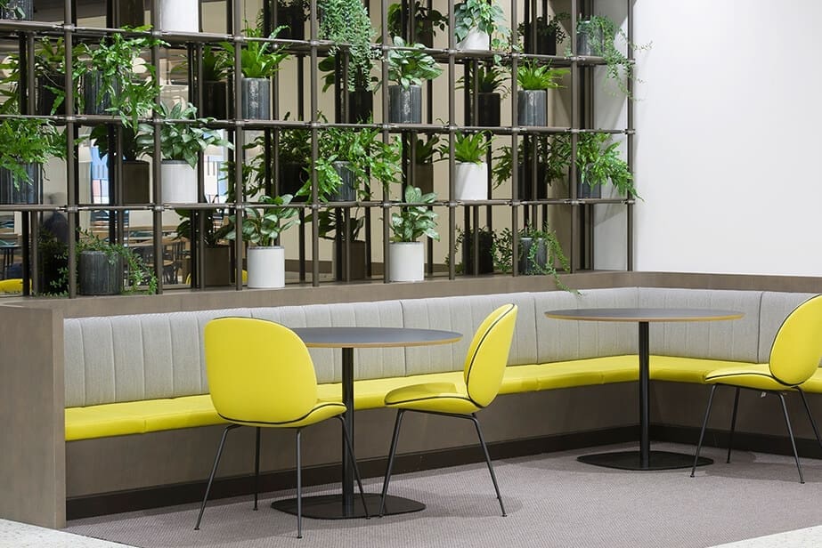 living wall of plants on shelves behind cushioned seating