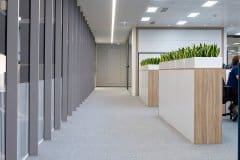 plants in large planters indoors