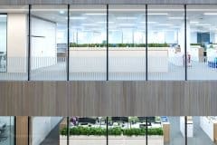 large glass windows with plants in the office