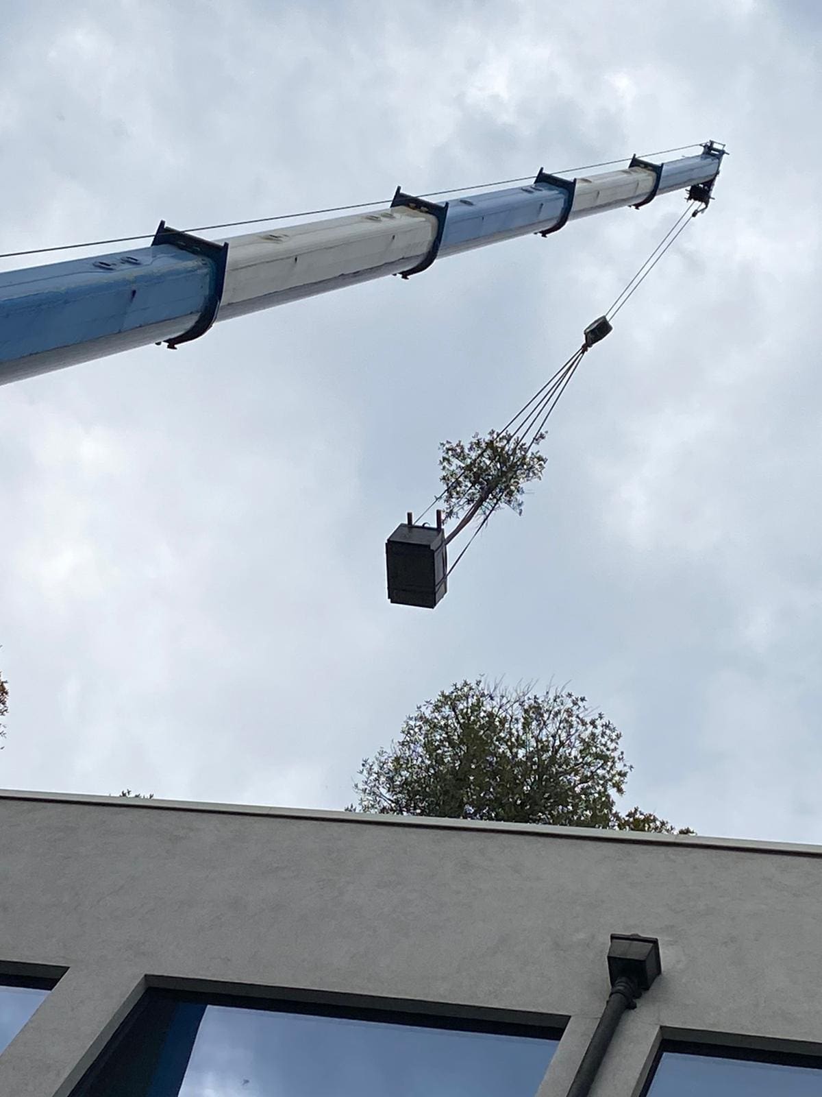 blue and white crane