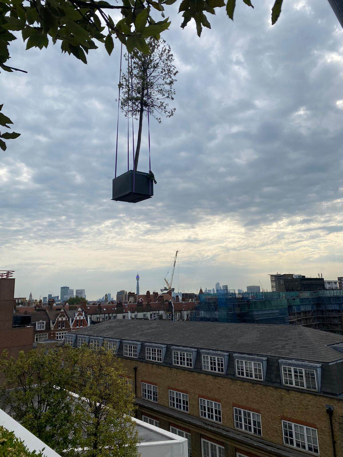 building and crane