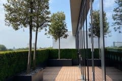 outside building with trees