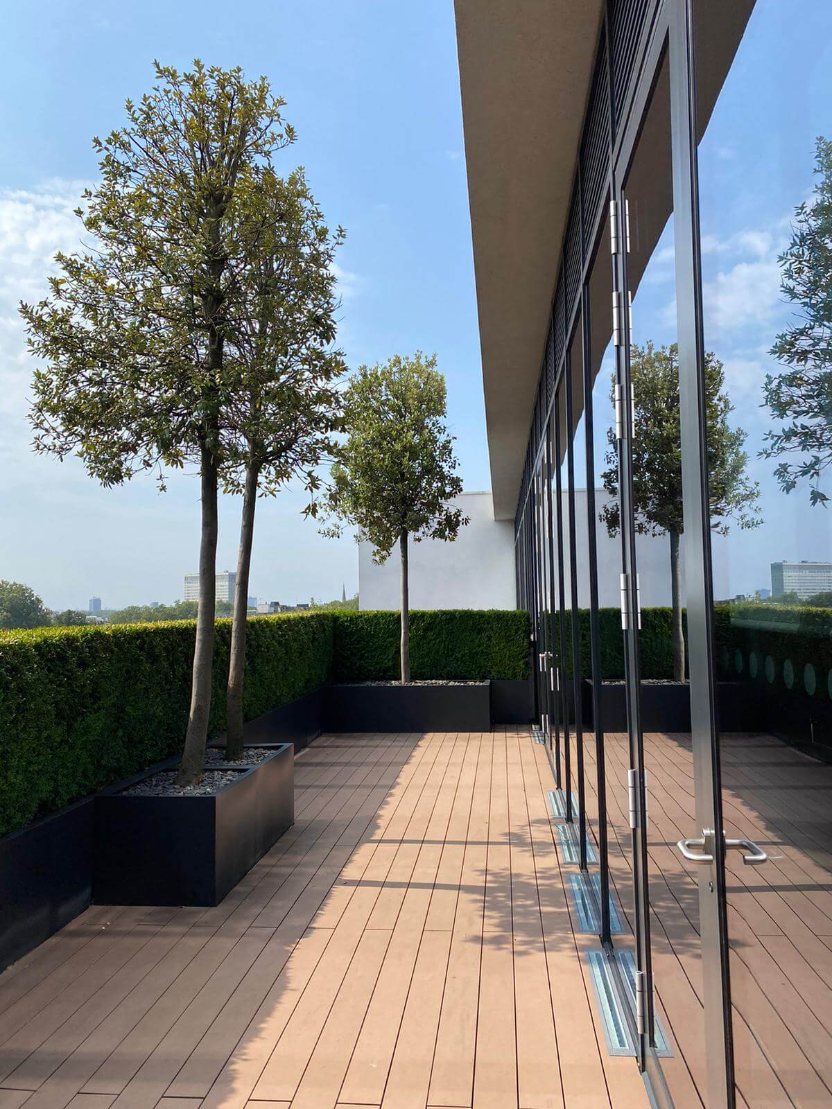 outside building with trees