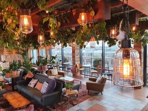 Verdantia Urban Jungles