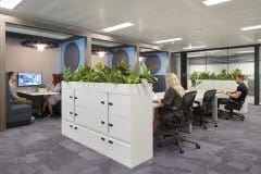 communal office area with plants