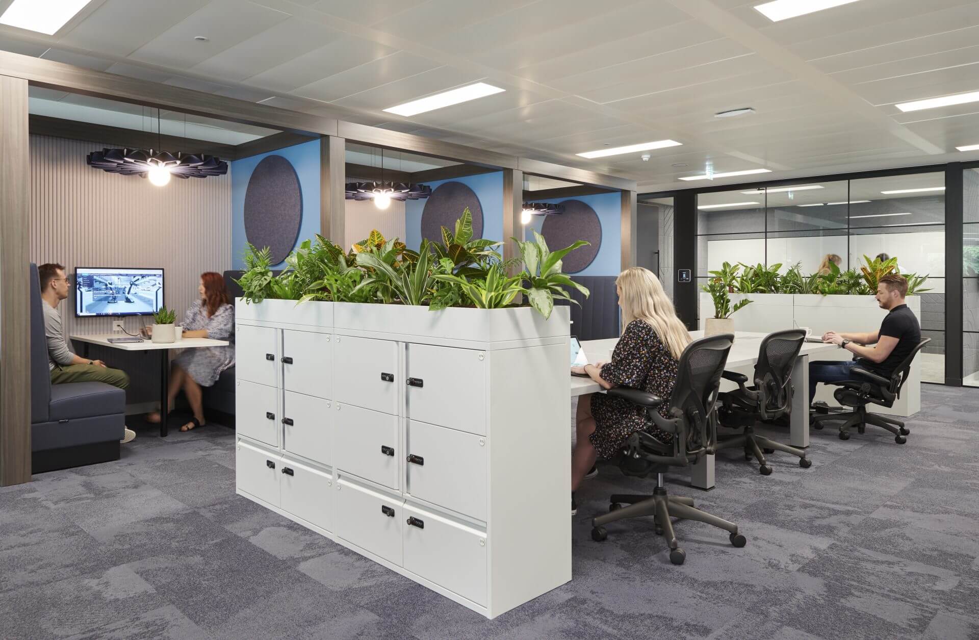 communal office area with plants