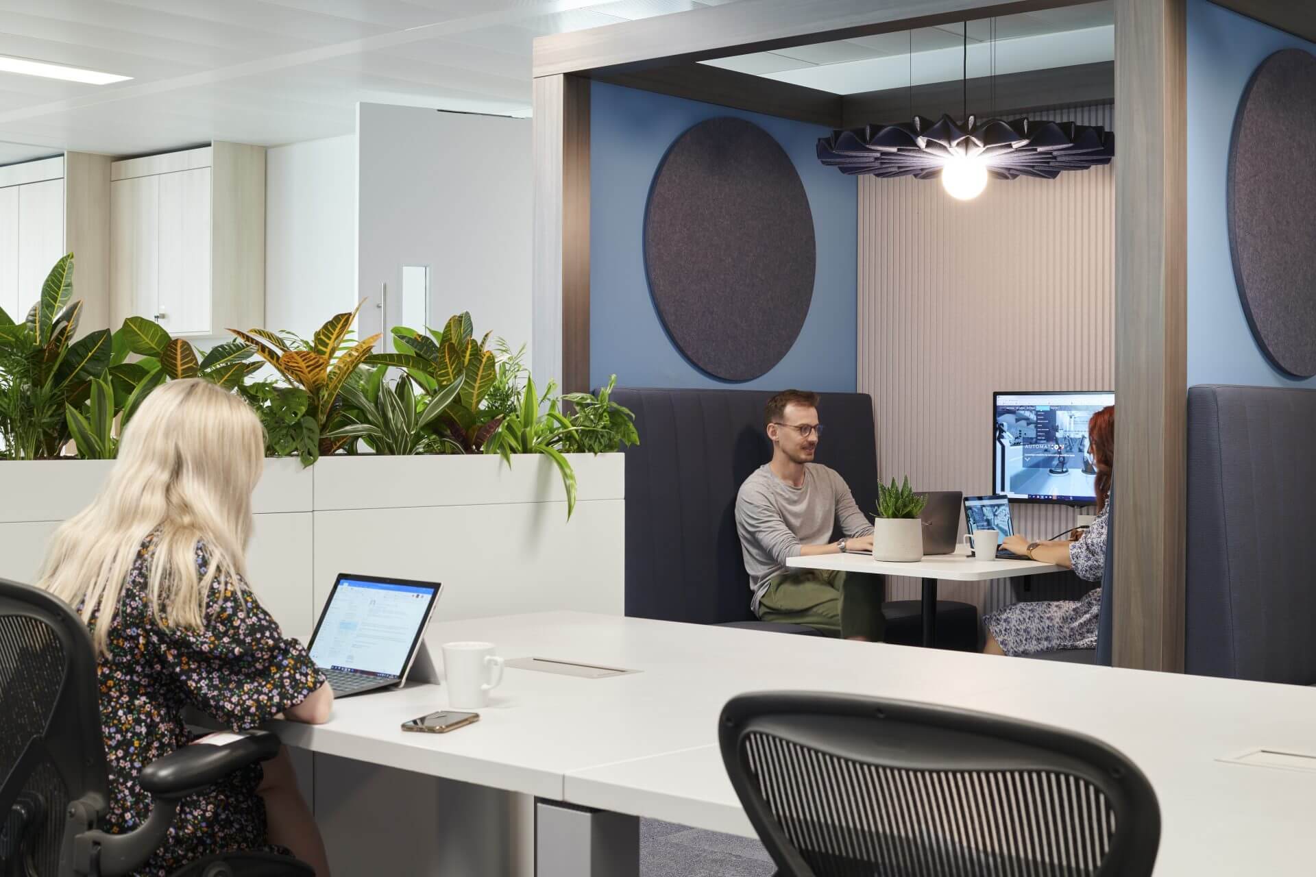 communal office area with plants