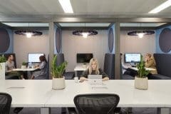 communal office area with plants
