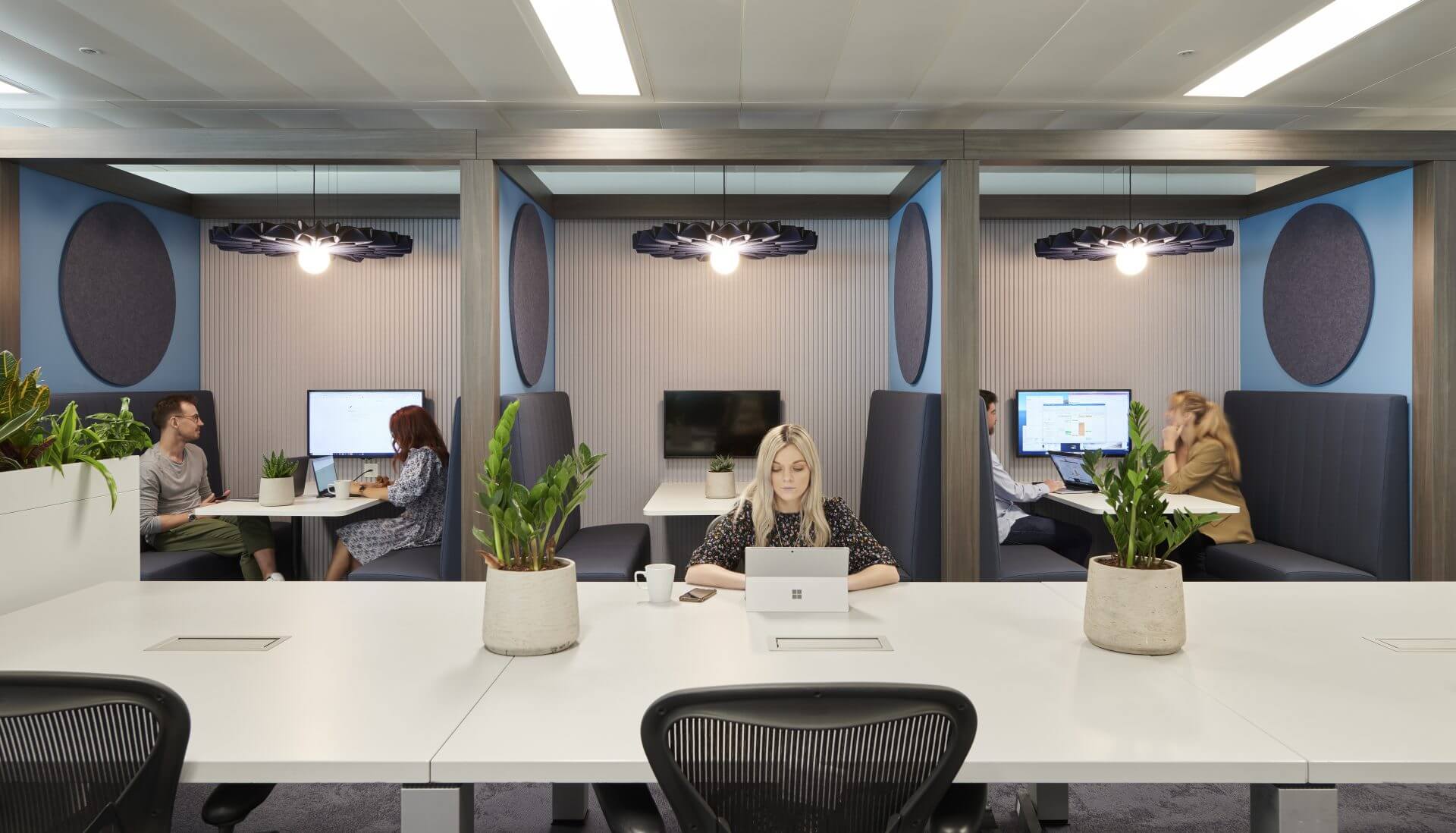 communal office area with plants