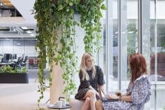communal office area with plants