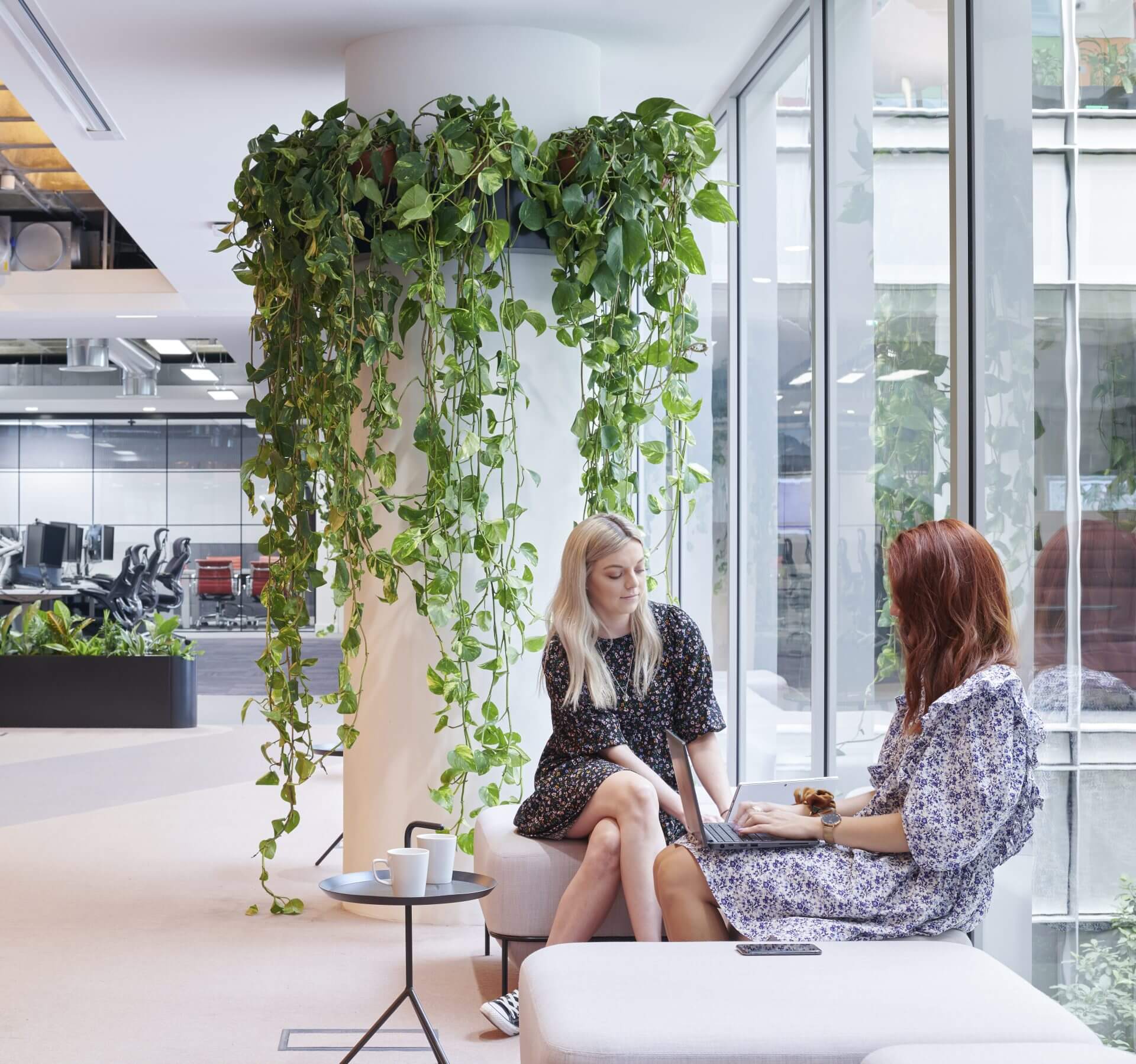 communal office area with plants