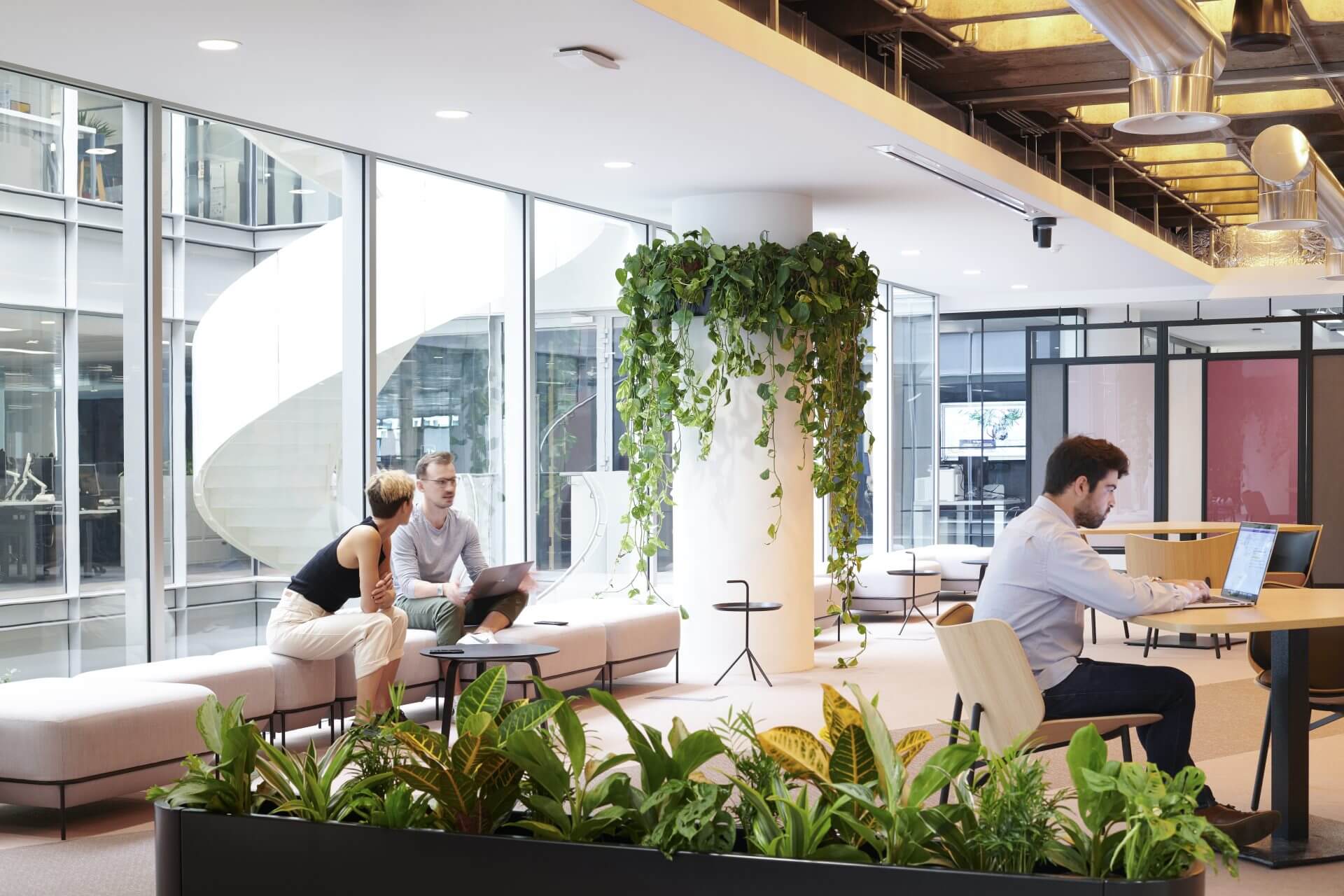 communal office area with plants