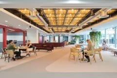 communal office area with plants