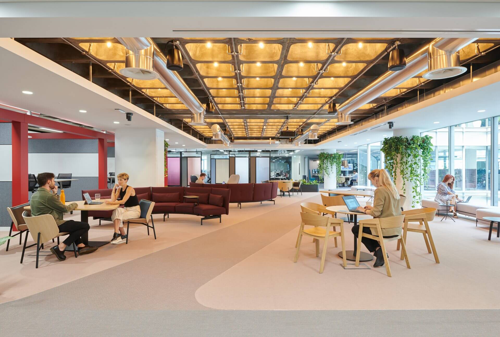 communal office area with plants