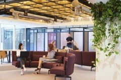 office area with plants