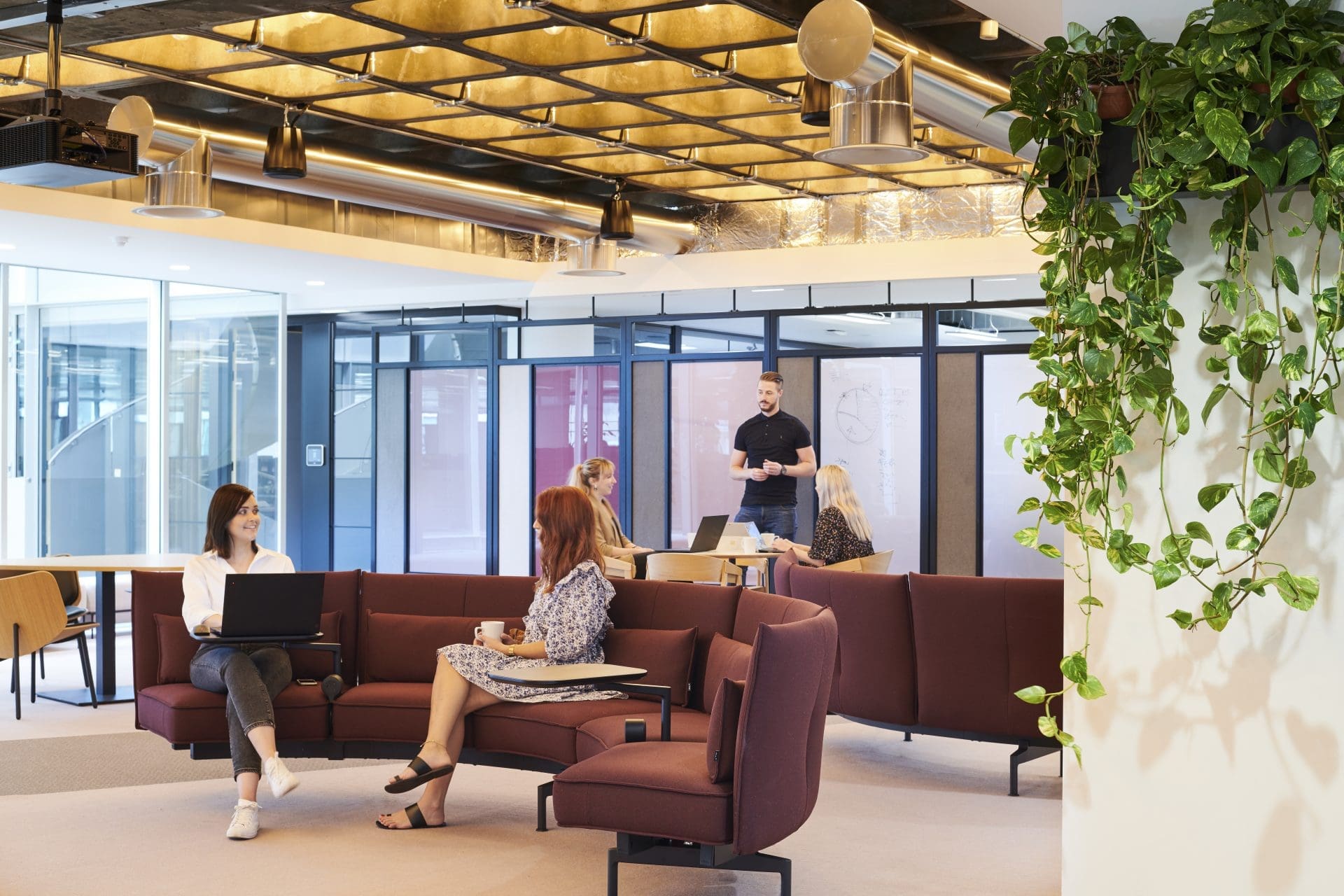 office area with plants
