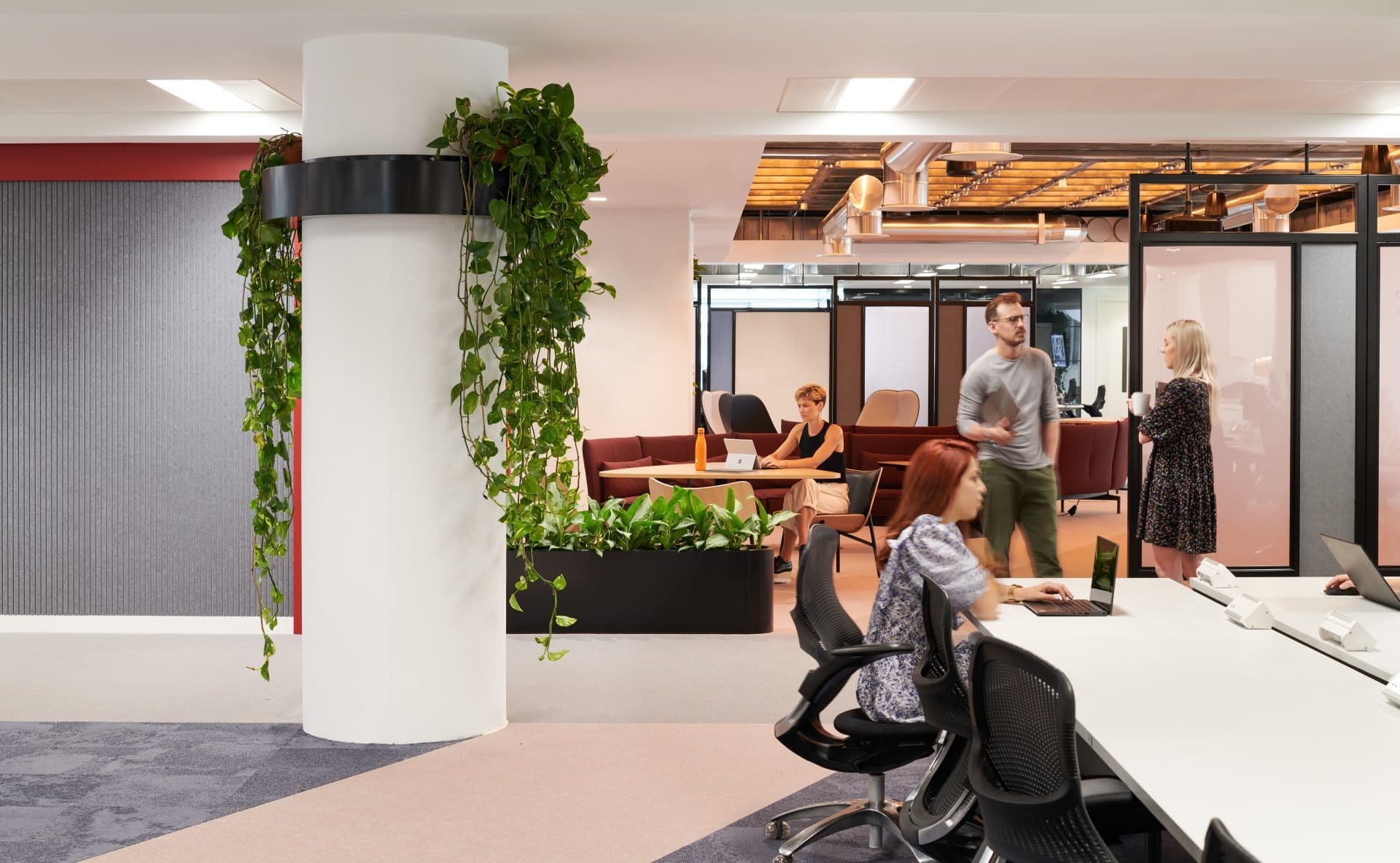 office area with plants