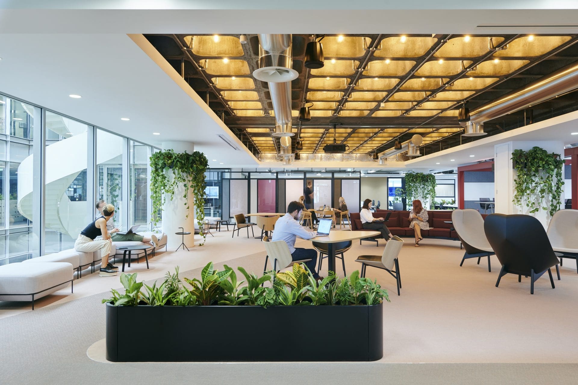 office area with plants