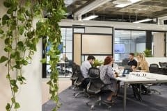 communal office area with plants