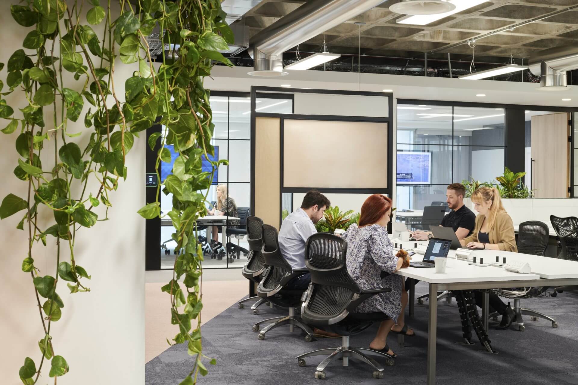 communal office area with plants