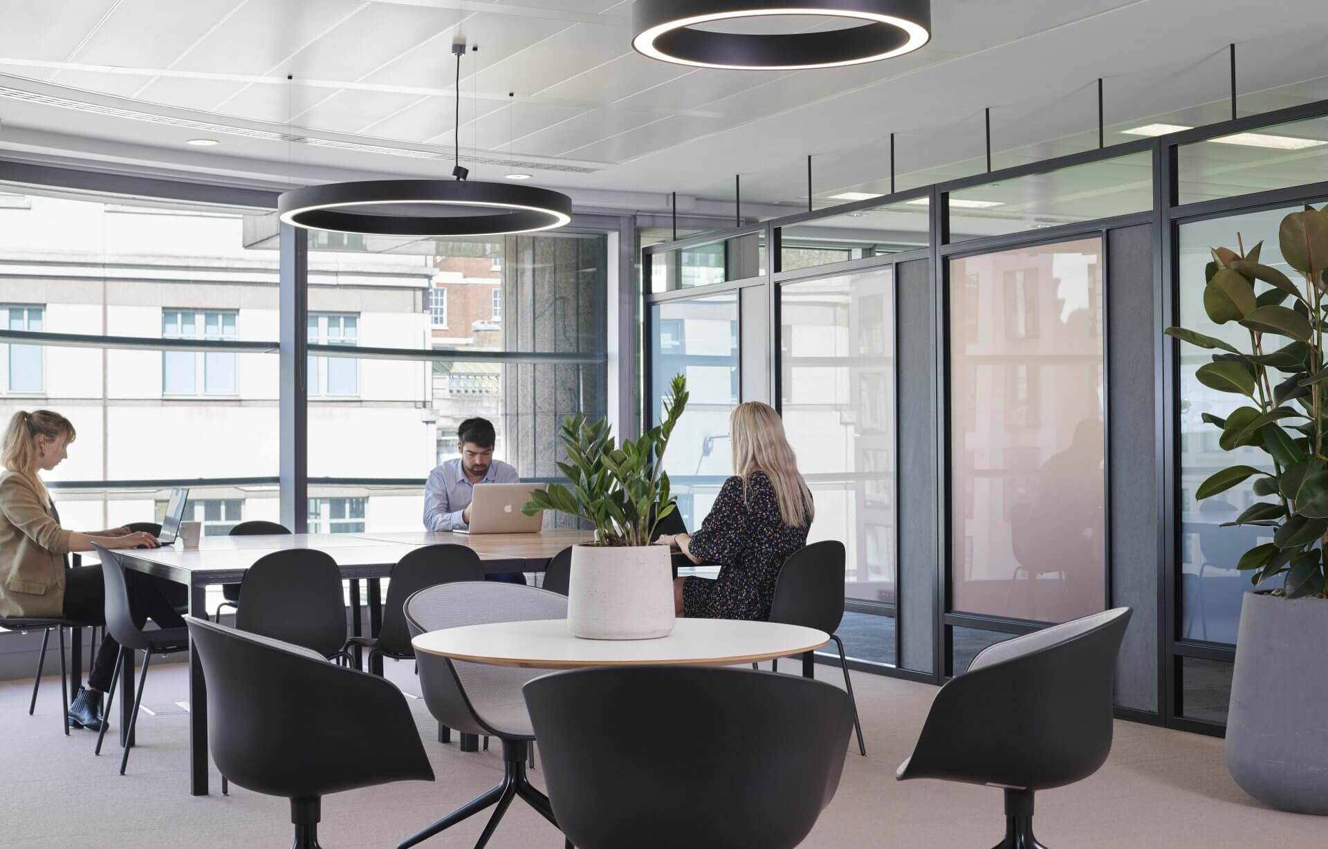 communal office area with plants