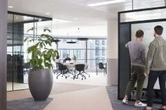 communal office area with plants