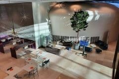 indoor tree in open communal office space, view from above