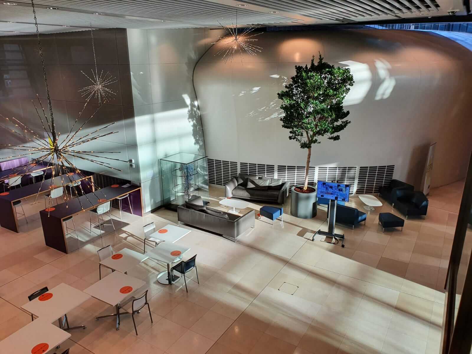 indoor tree in open communal office space, view from above
