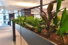 communal office area with plants