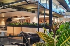 communal office area with plants