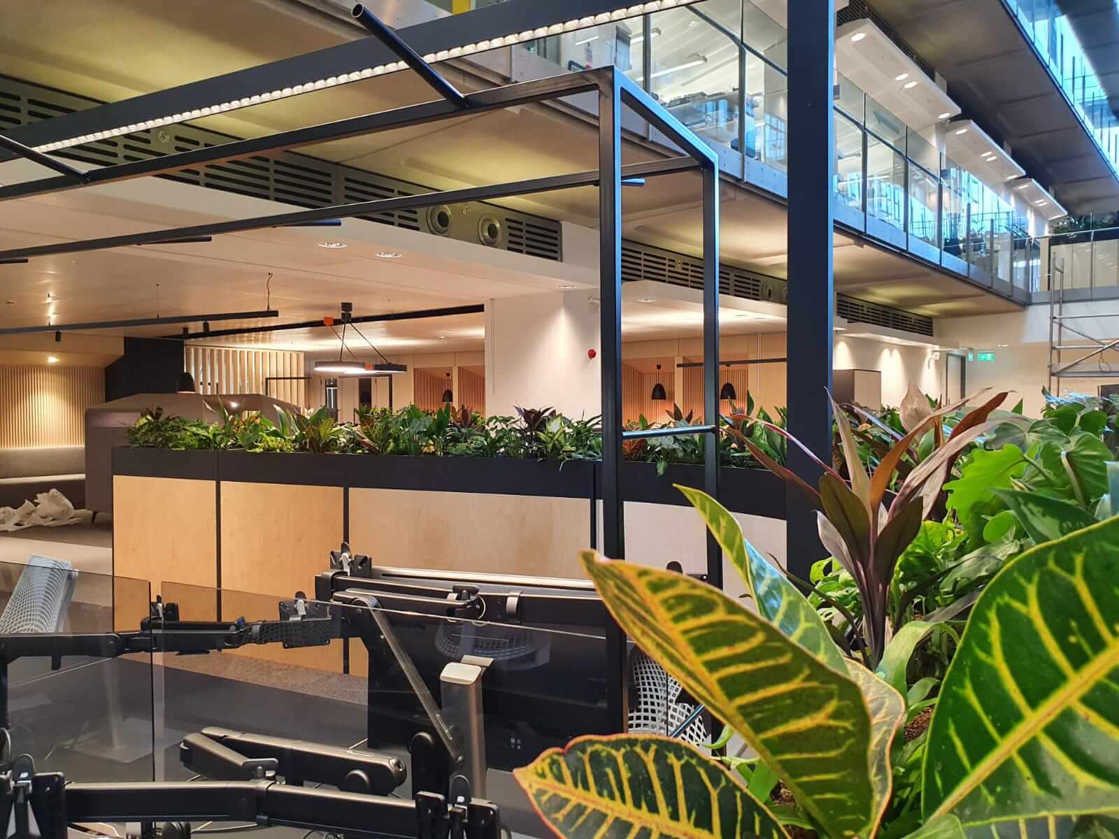 communal office area with plants
