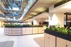 communal office area with plants