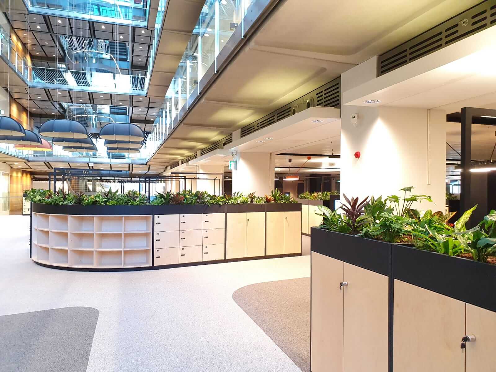 communal office area with plants