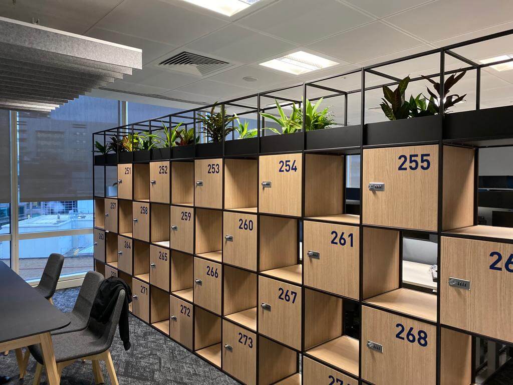 plants on top of storage lockers