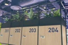 plants on top of storage lockers