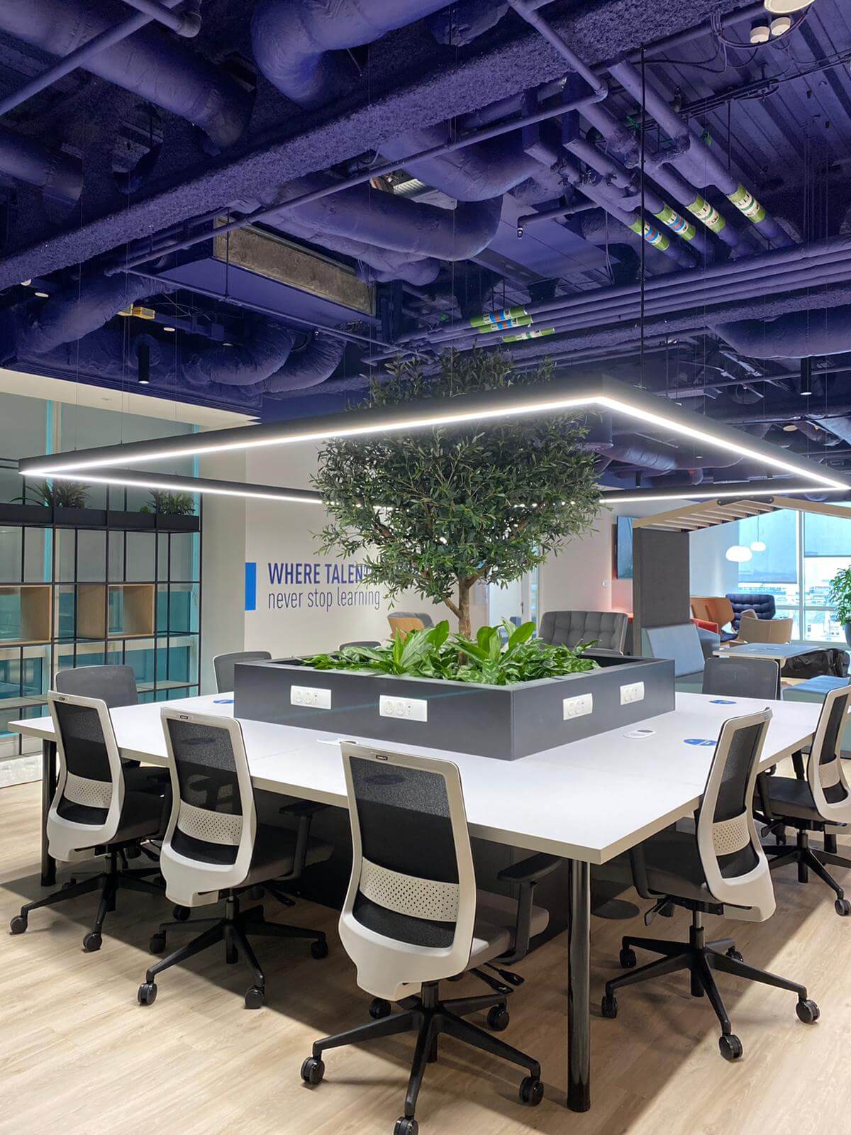 indoor square tables surrounding plant display and tree